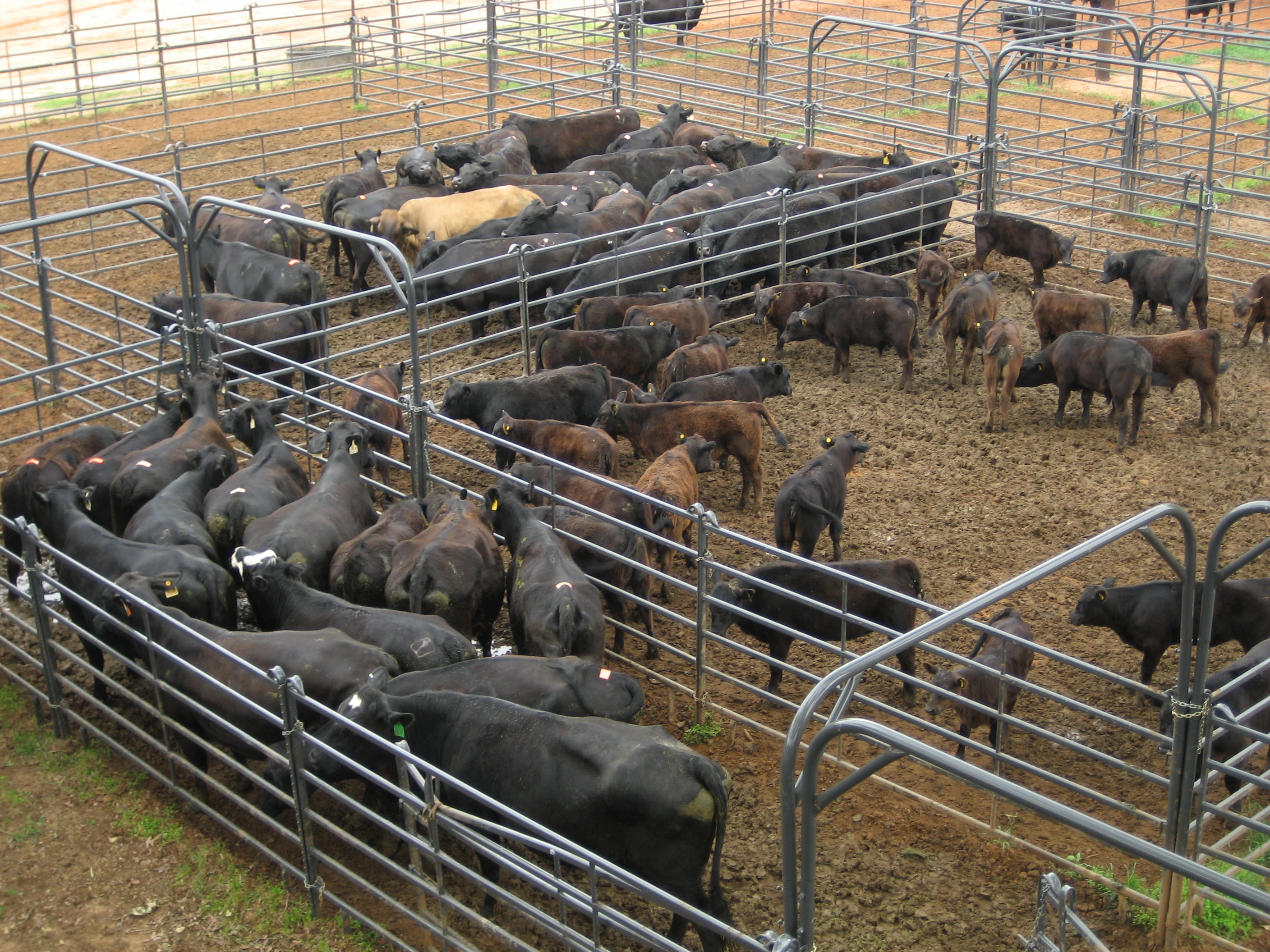 Premier Panel PP10 04.jpg